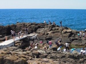 ・夕陽がきれいな　「黄金岬」　　カニ釣りなどの磯遊びが出来ます